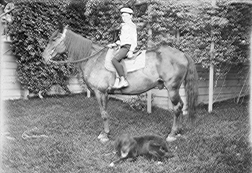 Click to see GP-FRANK 32 of Frank Glass Plate Collection (GP-FRANK)