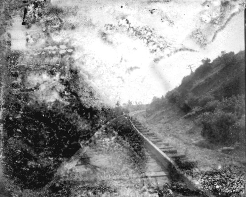 Click to see GP-FRANK 40 of Frank Glass Plate Collection (GP-FRANK)