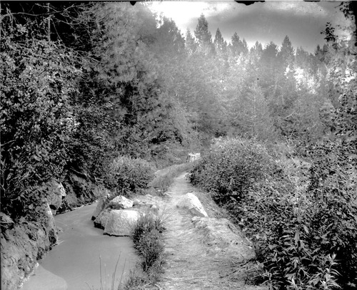 Click to view Hartung Glass Plate Collection (GP-HARTUNG) Hartung Glass Plate Collection (GP-HARTUNG)