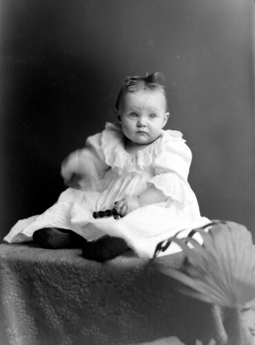 Click to see GP-INGRAM 21 of Ingram Glass Plate Collection (GP-INGRAM)