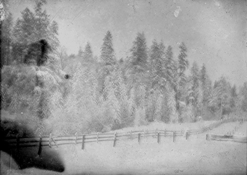 Click to see GP-INGRAM 24 of Ingram Glass Plate Collection (GP-INGRAM)