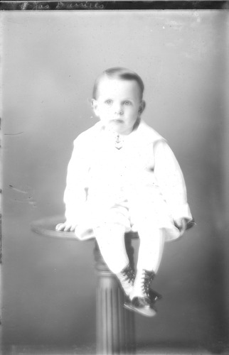 Click to see GP-JHART COLLECTION 11 of J. Hart Glass Plate Collection (GP-JHART)