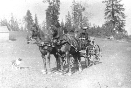 Click to see GP-MISC 8 of Miscellaneous Glass Plate Collection (GP-MISC)
