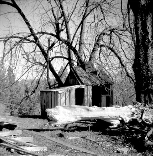 Click to see GP-OP-2 of Official Photo Company Glass Plate Collection (GP-OP)