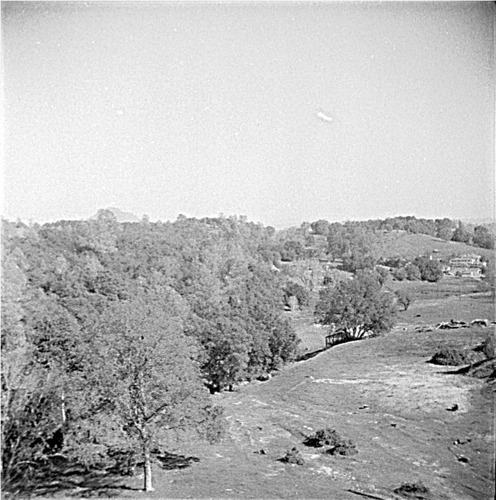 Click to see GP-OP-3 of Official Photo Company Glass Plate Collection (GP-OP)