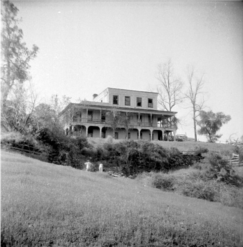 Click to see GP-OP-5 of Official Photo Company Glass Plate Collection (GP-OP)