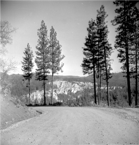 Click to see GP-OP-8 of Official Photo Company Glass Plate Collection (GP-OP)