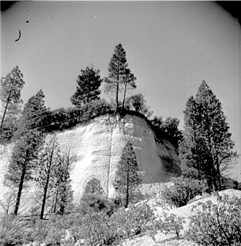 Click to see GP-OP-9 of Official Photo Company Glass Plate Collection (GP-OP)
