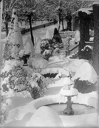 Click to see GP-OP 16 of Official Photo Company Glass Plate Collection (GP-OP)