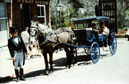 Click to see PIC 7-CARTER 18-4 of Nevada City Carriage (PIC 7-CARTER 18)