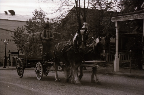 Nevada City Stagecoach photography shoot (PIC 7-CARTER 17)