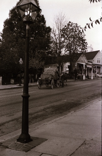 Click to see PIC 7-CARTER 17-8 of Nevada City Stagecoach photography shoot (PIC 7-CARTER 17)