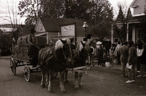 Click to see PIC 7-CARTER 17-19 of Nevada City Stagecoach photography shoot (PIC 7-CARTER 17)