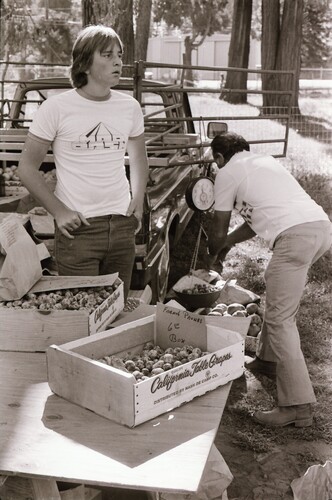 Click to see PIC 7-CARTER 39-10 of Nevada County Growers Market (PIC 7-CARTER 39)
