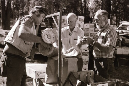 Click to see PIC 7-CARTER 39-19 of Nevada County Growers Market (PIC 7-CARTER 39)
