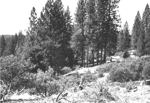 Click to see PIC 1-A 10-5 of Miscellaneous Photos (PIC 1-A)