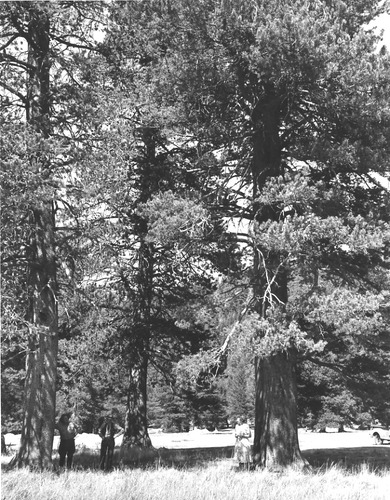 Click to see PIC 1-A 31 of Miscellaneous Photos (PIC 1-A)