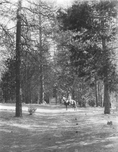 Click to see PIC 1-A 35 of Miscellaneous Photos (PIC 1-A)