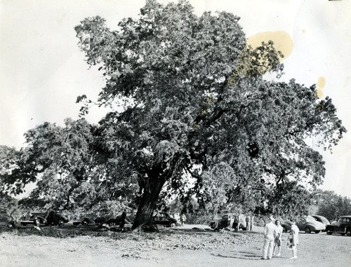 Click to see PIC 1-A 57 of Miscellaneous Photos (PIC 1-A)
