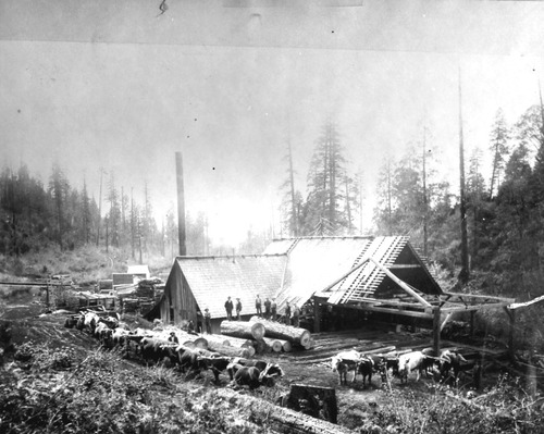 Click to see PIC 1-A 60-1 of Miscellaneous Photos (PIC 1-A)