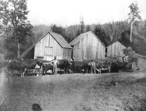 Click to see PIC 1-A 62-1 of Miscellaneous Photos (PIC 1-A)