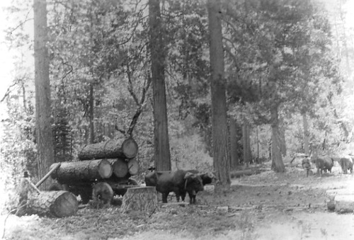 Click to see PIC 1-A 64-2 of Miscellaneous Photos (PIC 1-A)