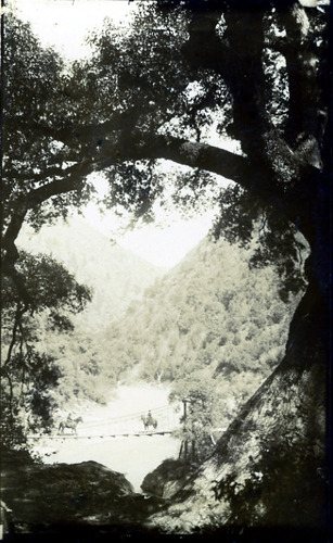 Click to see PIC 1-A 91 of Miscellaneous Photos (PIC 1-A)