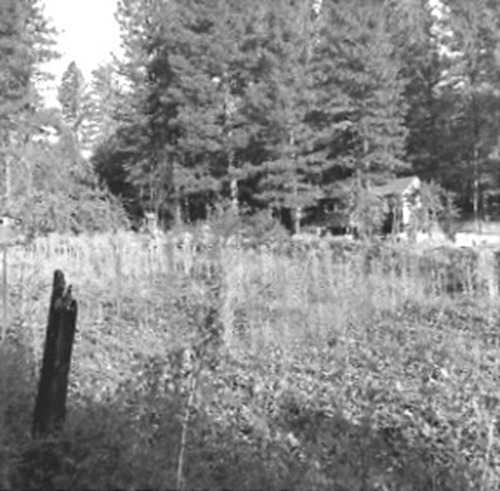 Click to see PIC 1-A 145-B of Miscellaneous Photos (PIC 1-A)