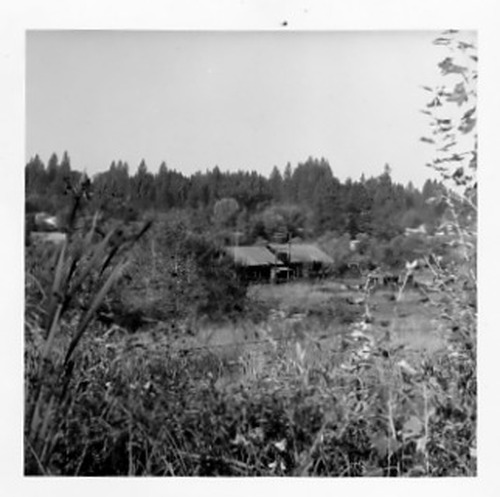 Click to see PIC 1-A 145-C of Miscellaneous Photos (PIC 1-A)