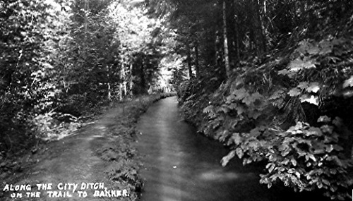 Click to view Miscellaneous Photos (PIC 1-B) Miscellaneous Photos (PIC 1-B)