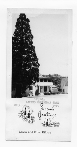 Click to see PIC 1-B 25 of Miscellaneous Photos (PIC 1-B)