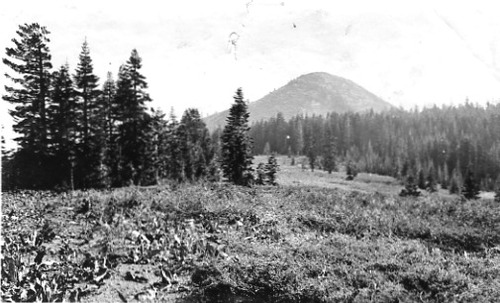 Click to see PIC 1-B 70 of Miscellaneous Photos (PIC 1-B)