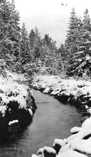 Click to see PIC 1-B 72 of Miscellaneous Photos (PIC 1-B)