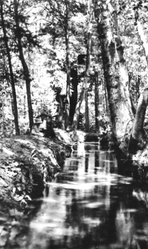 Click to see PIC 1-B 73 of Miscellaneous Photos (PIC 1-B)