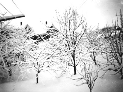 Click to see PIC 1-B 74-2 of Miscellaneous Photos (PIC 1-B)