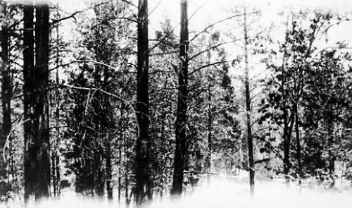 Click to see PIC 1-B 86-4 of Miscellaneous Photos (PIC 1-B)