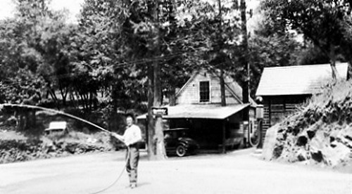 Click to see PIC 1-B 86-6 of Miscellaneous Photos (PIC 1-B)