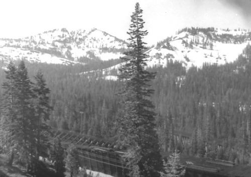 Click to see PIC 1-B 112 of Miscellaneous Photos (PIC 1-B)