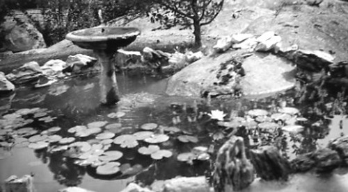Click to see PIC 1-B 128-F of Miscellaneous Photos (PIC 1-B)
