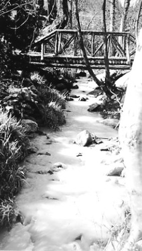 Click to see PIC 1-B 128-H of Miscellaneous Photos (PIC 1-B)