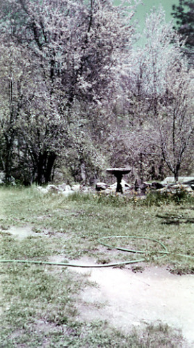 Click to see PIC 1-B 128-P of Miscellaneous Photos (PIC 1-B)