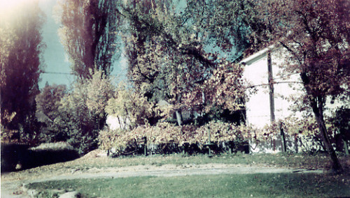 Click to see PIC 1-B 128-Q of Miscellaneous Photos (PIC 1-B)