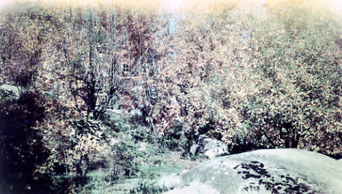 Click to see PIC 1-B 128-T of Miscellaneous Photos (PIC 1-B)