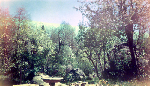Click to see PIC 1-B 128-W of Miscellaneous Photos (PIC 1-B)