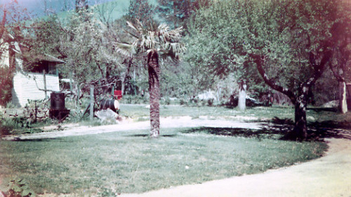 Click to see PIC 1-B 128-X of Miscellaneous Photos (PIC 1-B)