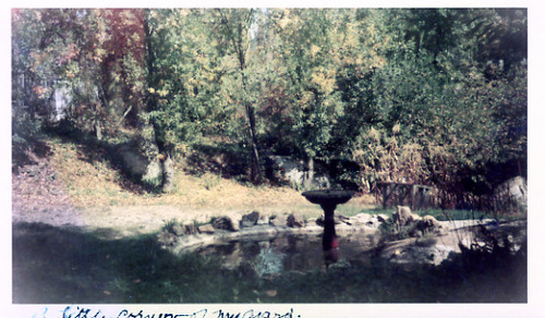 Click to see PIC 1-B 128-Y of Miscellaneous Photos (PIC 1-B)