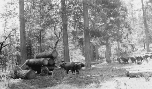 Click to see PIC 1-B 131 of Miscellaneous Photos (PIC 1-B)