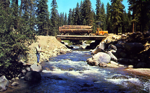 Click to see PIC 1-B 160-2 of Miscellaneous Photos (PIC 1-B)