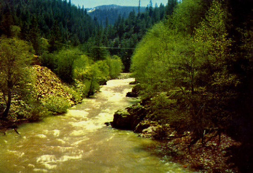 Click to see PIC 1-B 160-4 of Miscellaneous Photos (PIC 1-B)