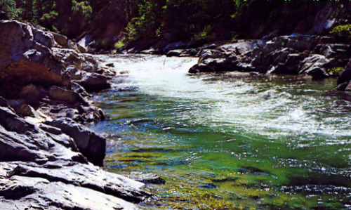 Click to see PIC 1-B 160-5 of Miscellaneous Photos (PIC 1-B)
